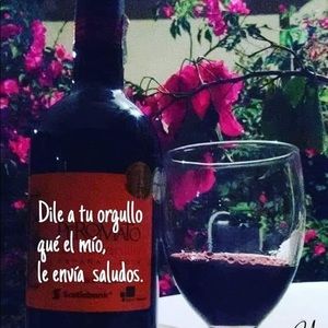 Meet your Posher, Jajanneth